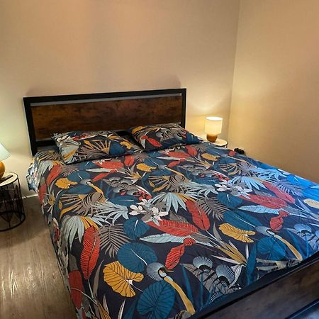Residence Bois Du Bouchet, Appartement Vue Montagne, Calme, Parking Gratuit, Proche Centre Chamonix Luaran gambar