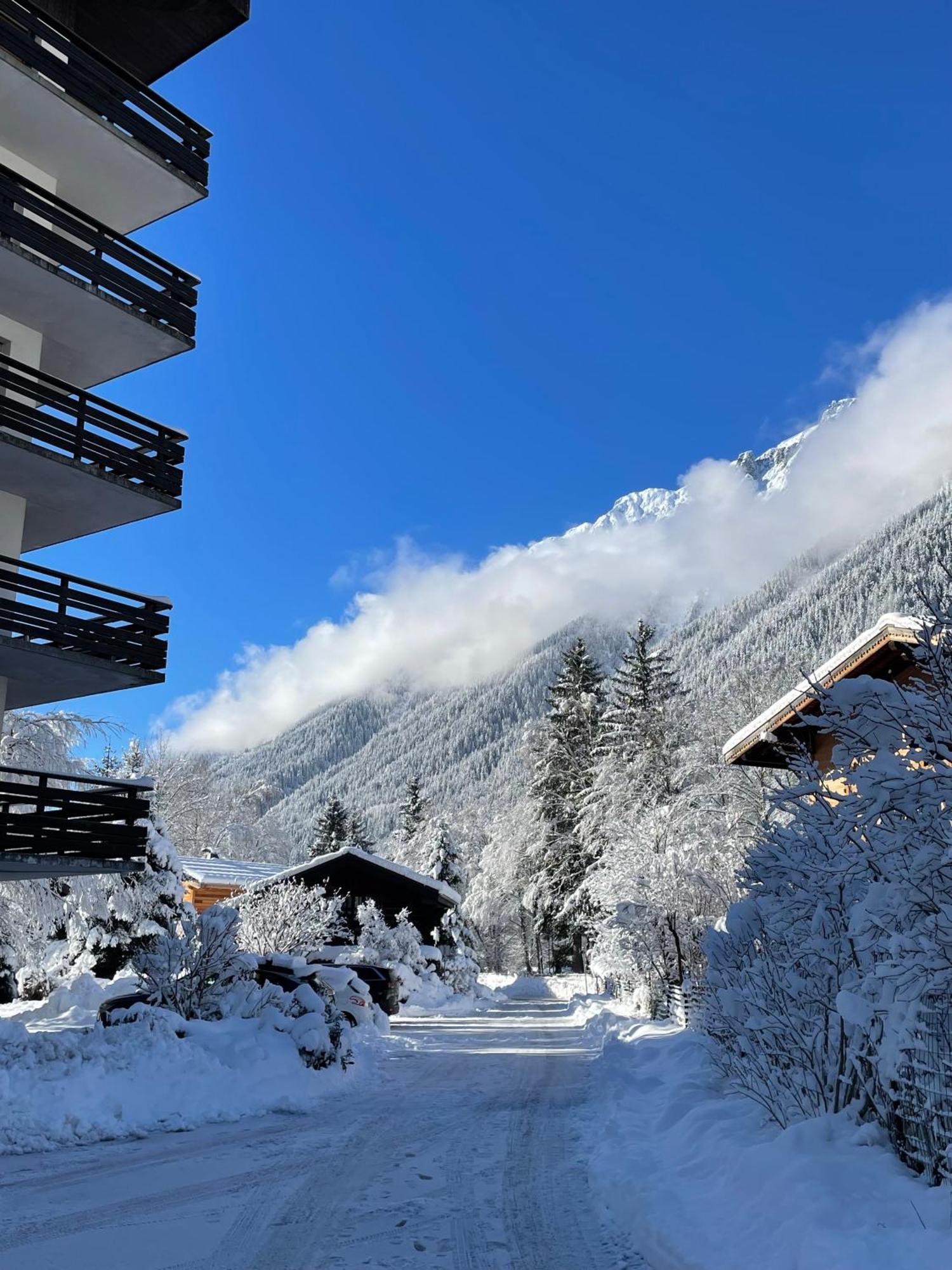 Residence Bois Du Bouchet, Appartement Vue Montagne, Calme, Parking Gratuit, Proche Centre Chamonix Luaran gambar