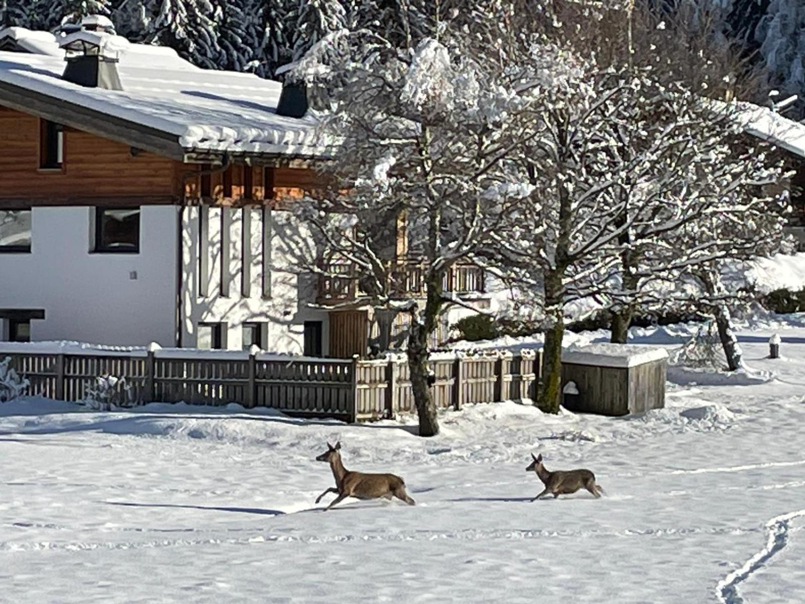 Residence Bois Du Bouchet, Appartement Vue Montagne, Calme, Parking Gratuit, Proche Centre Chamonix Luaran gambar