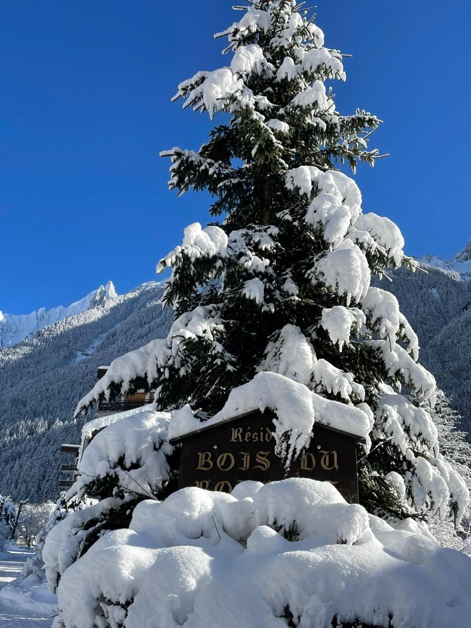 Residence Bois Du Bouchet, Appartement Vue Montagne, Calme, Parking Gratuit, Proche Centre Chamonix Luaran gambar